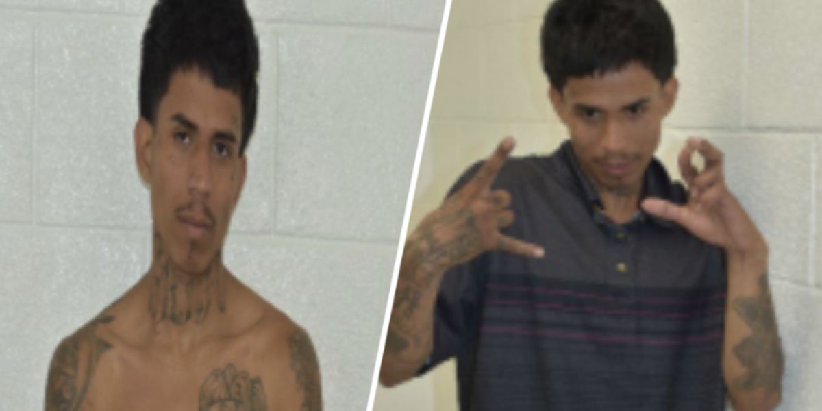 Alleged MS-13 Gang Member Arrested in Florida After Attempted Carjacking