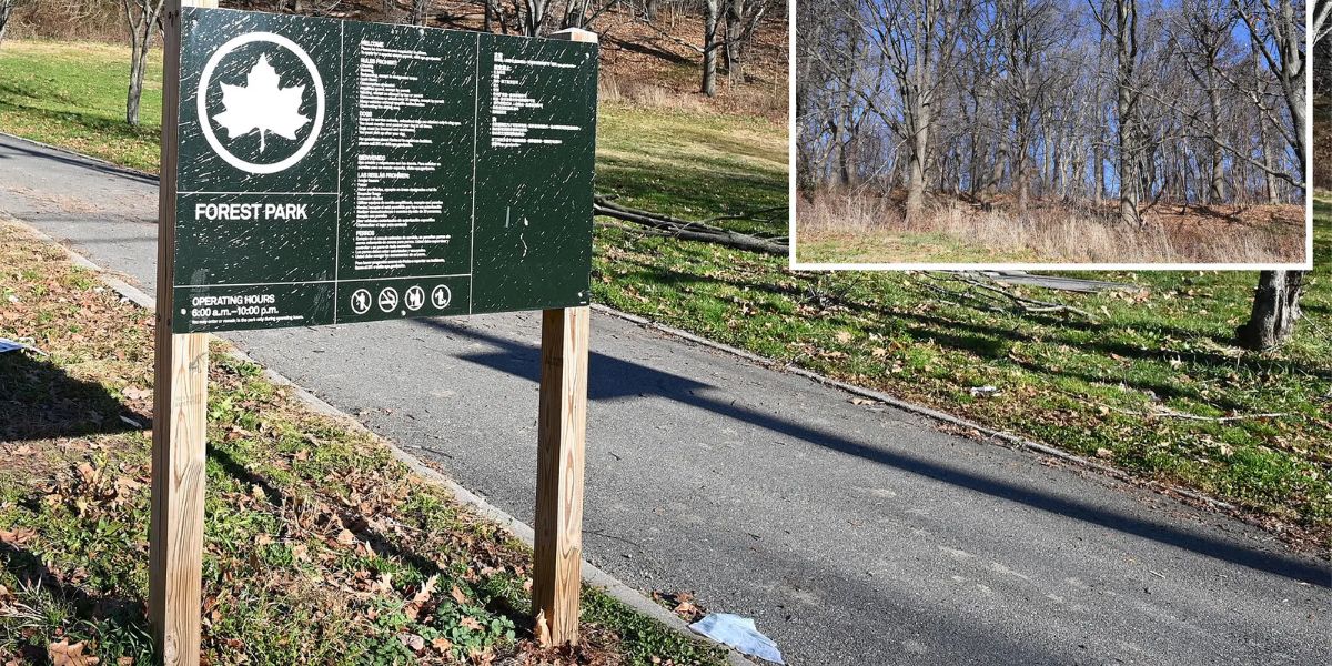 Child Abduction Attempt Thwarted by Heroic Father in NYC Park