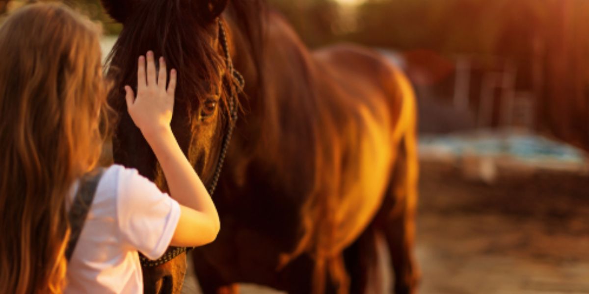 Healing through Horses Stable Recovery Program Helps Addicts Find Sobriety and Purpose
