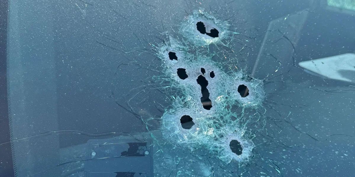 Man shot and killed by deputies in confrontation after apparent gator attack