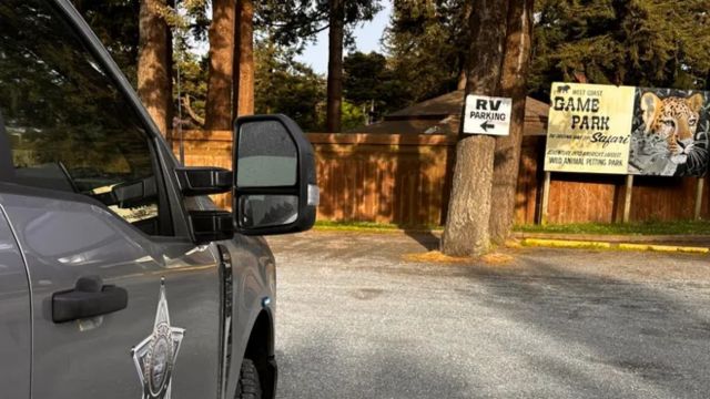 Oregon safari park owner arrested after raid discovered 44 firearms, narcotics, and $1.6 million