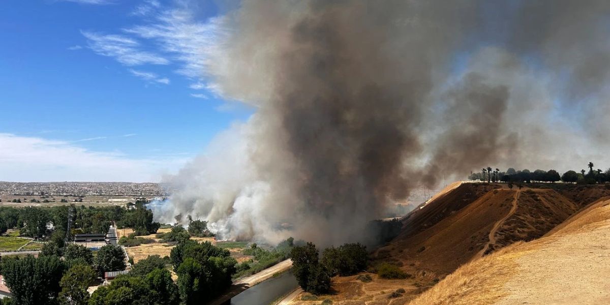 Panorama Bluffs Fire Contained Crews Prevent Further Spread After 60 Acres Lost