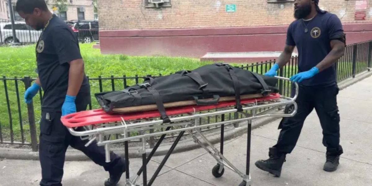 Queens Family Devastated After Their Baby Girl Is Fatally Bitten by the Household Dog