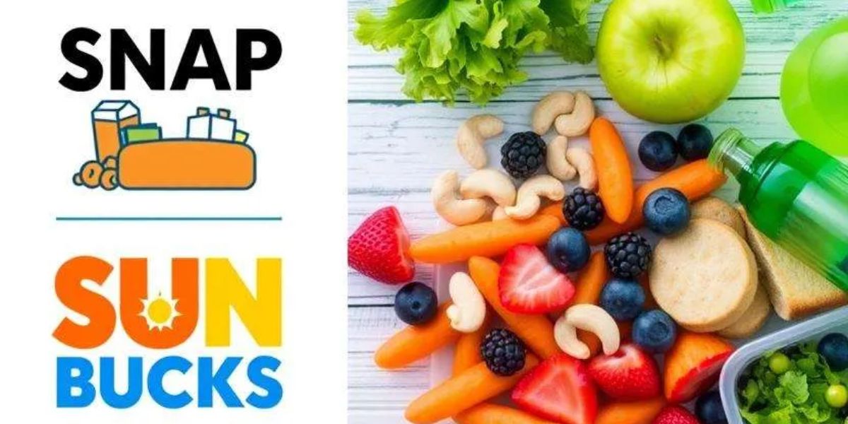 SNAP-Style Payments of $120 Per Child Coming to These States During 2025 Holidays