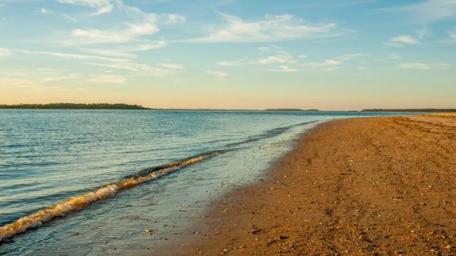 South Carolina tourists discover remains that may be linked to the 'lost' burial site