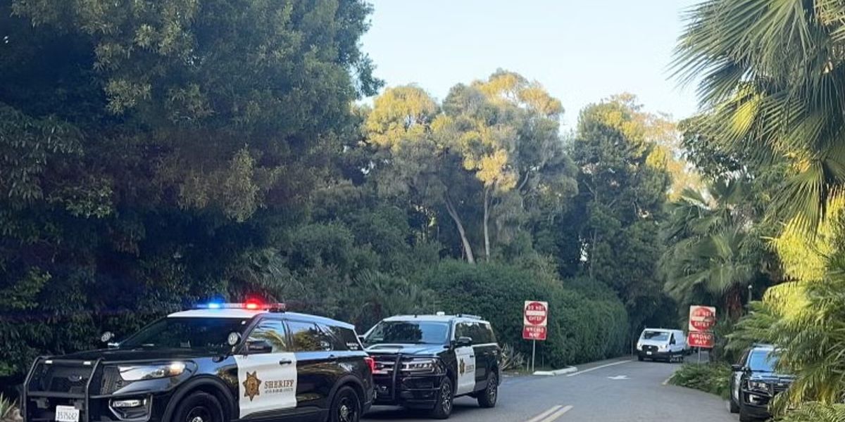 Woman is in a coma following a break-in at the California home of the billionaire behind Beanie Babies