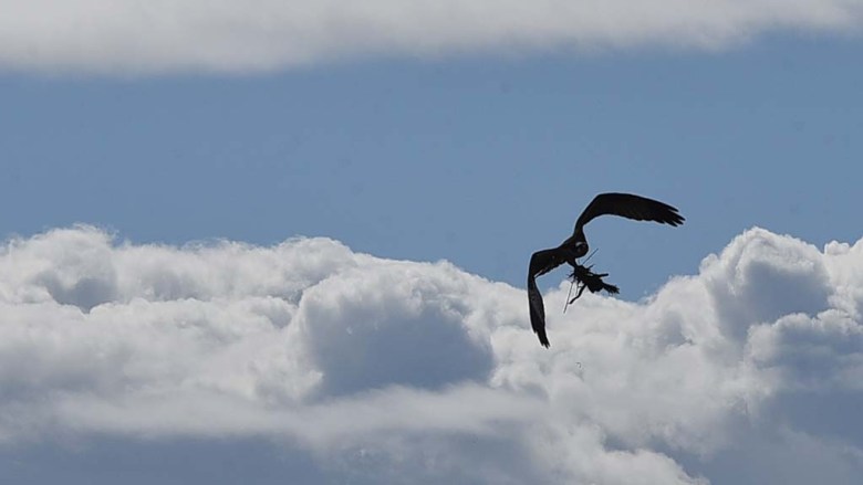 San Diego County to see heat wave, chance of thunderstorms by week’s end