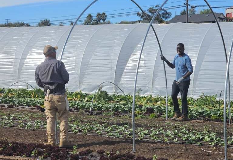 Navore Market launches SD’s first online marketplace for food, farmers