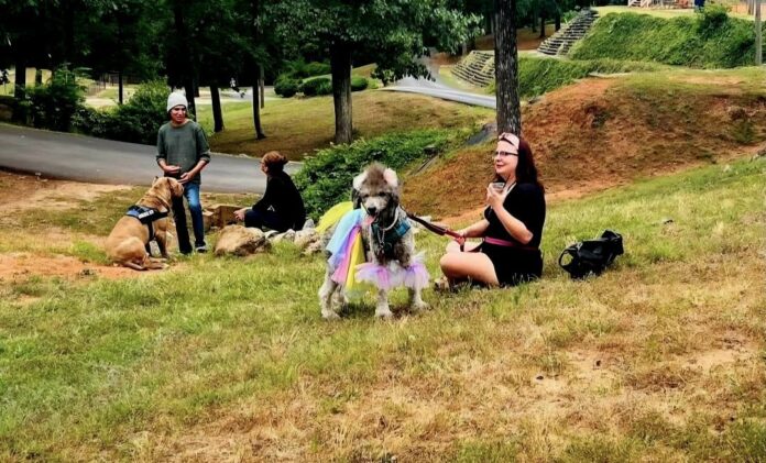 Dogs of Summer Pet Pageant returns to Habersham, raising funds for animal shelter 