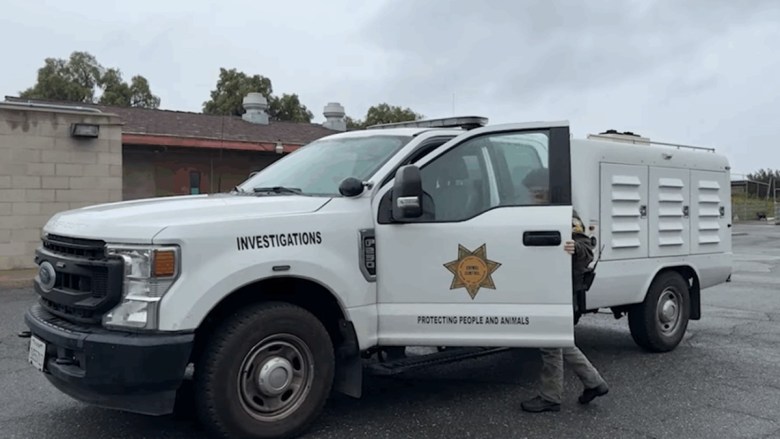 Emaciated horse vanishes from Rancho Santa Fe property amid neglect probe