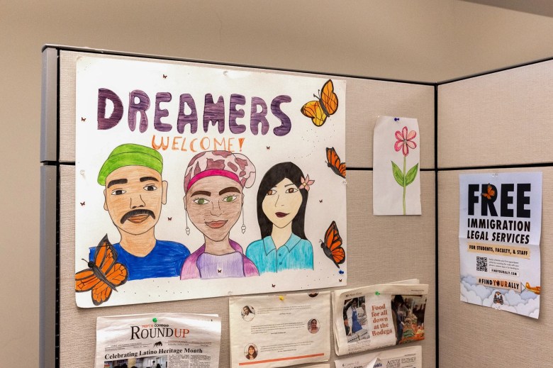 Dreamers to lose Covered California health insurance next month